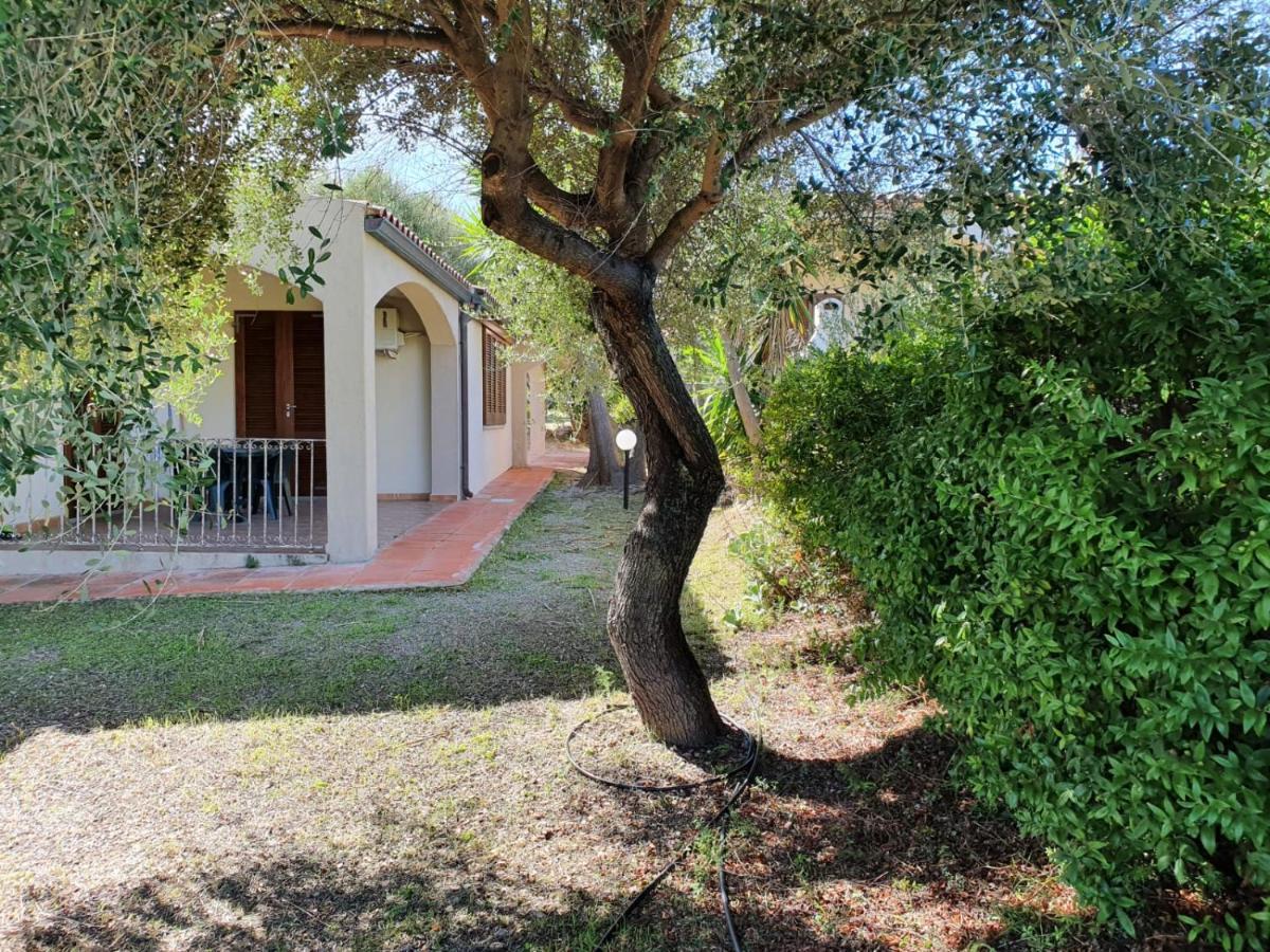 La Casa Di Spinosella Lejlighed Valledoria  Eksteriør billede