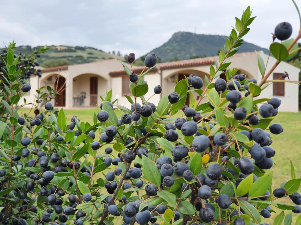 La Casa Di Spinosella Lejlighed Valledoria  Eksteriør billede