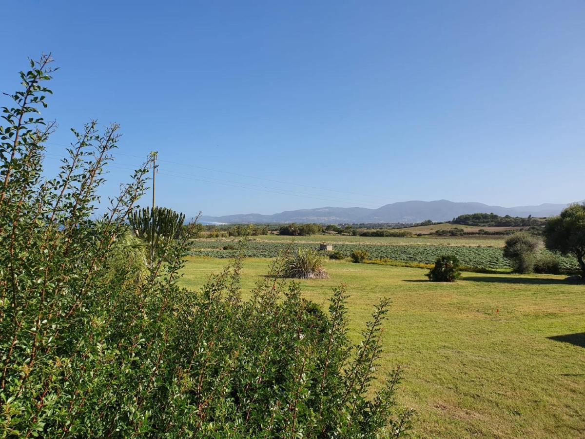La Casa Di Spinosella Lejlighed Valledoria  Eksteriør billede